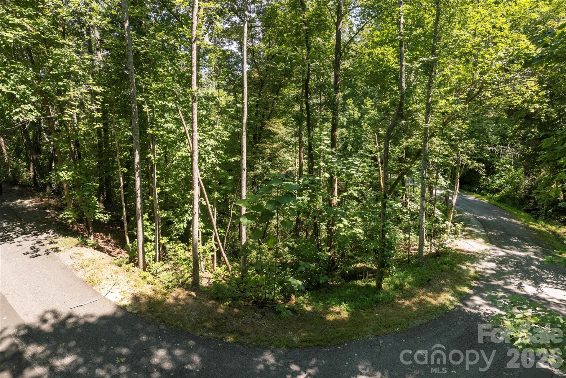 0 Weaver Lane - Photo 2