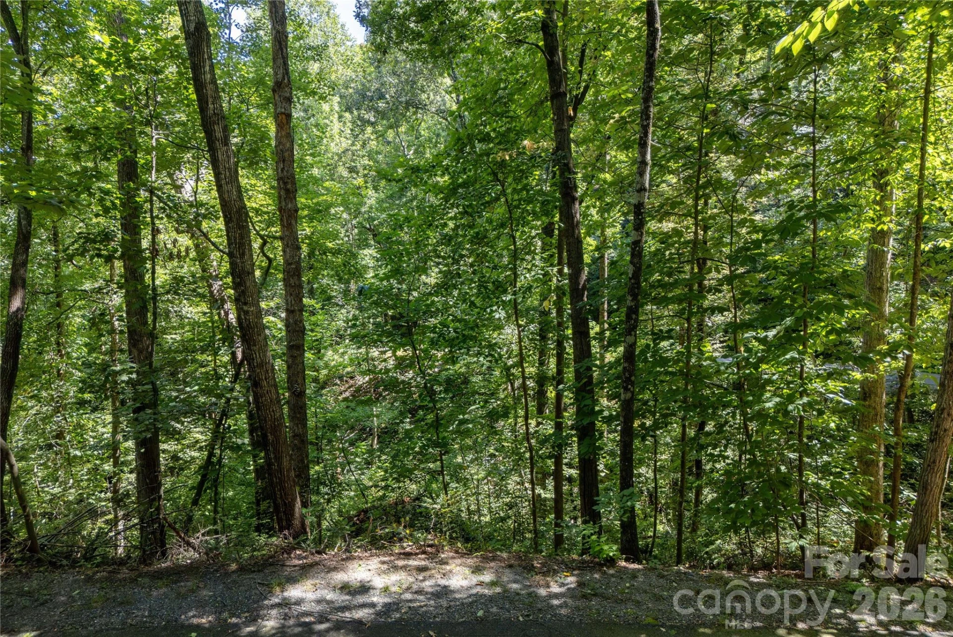 0 Weaver Lane - Photo 4