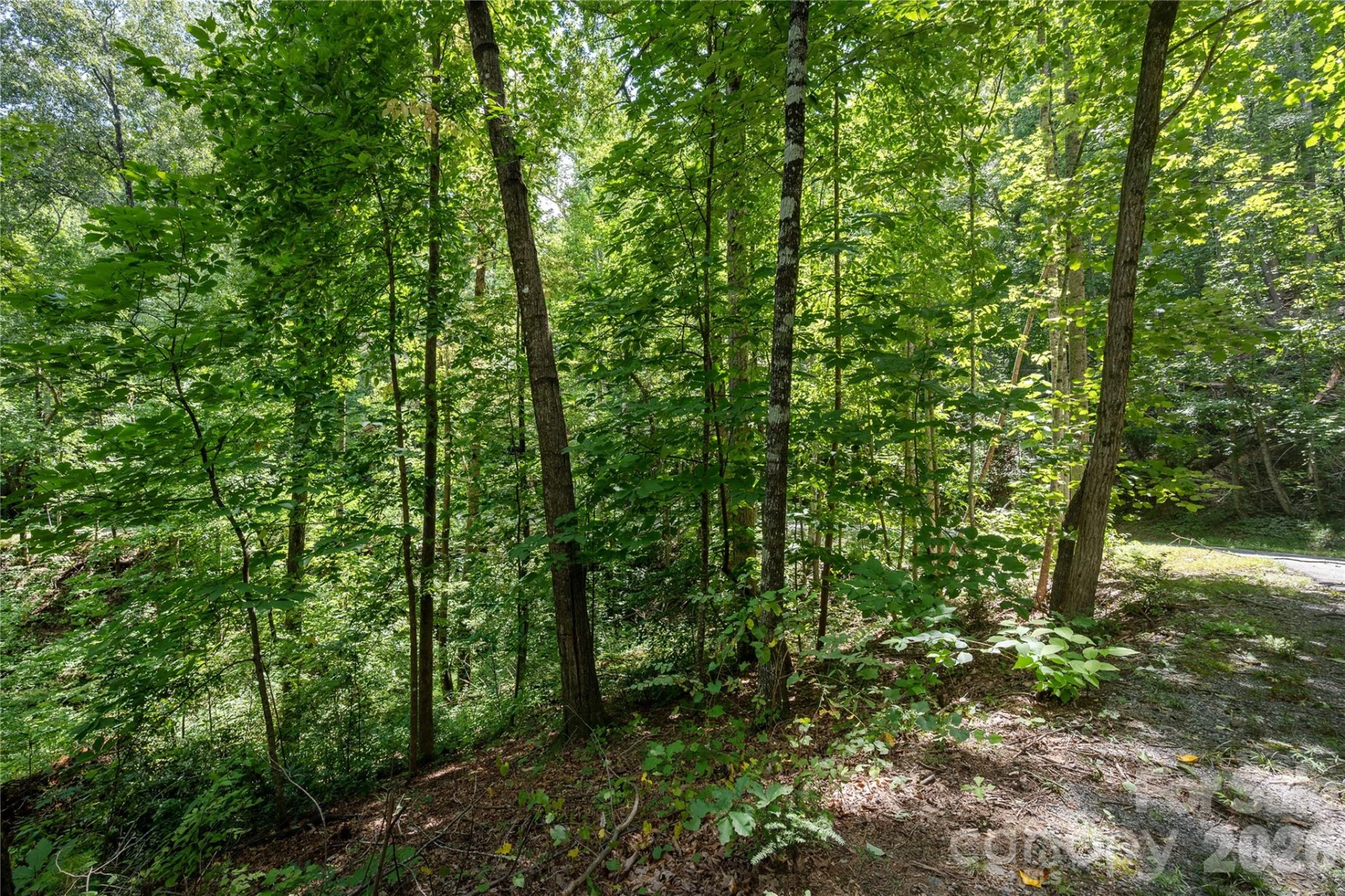 0 Weaver Lane - Photo 5