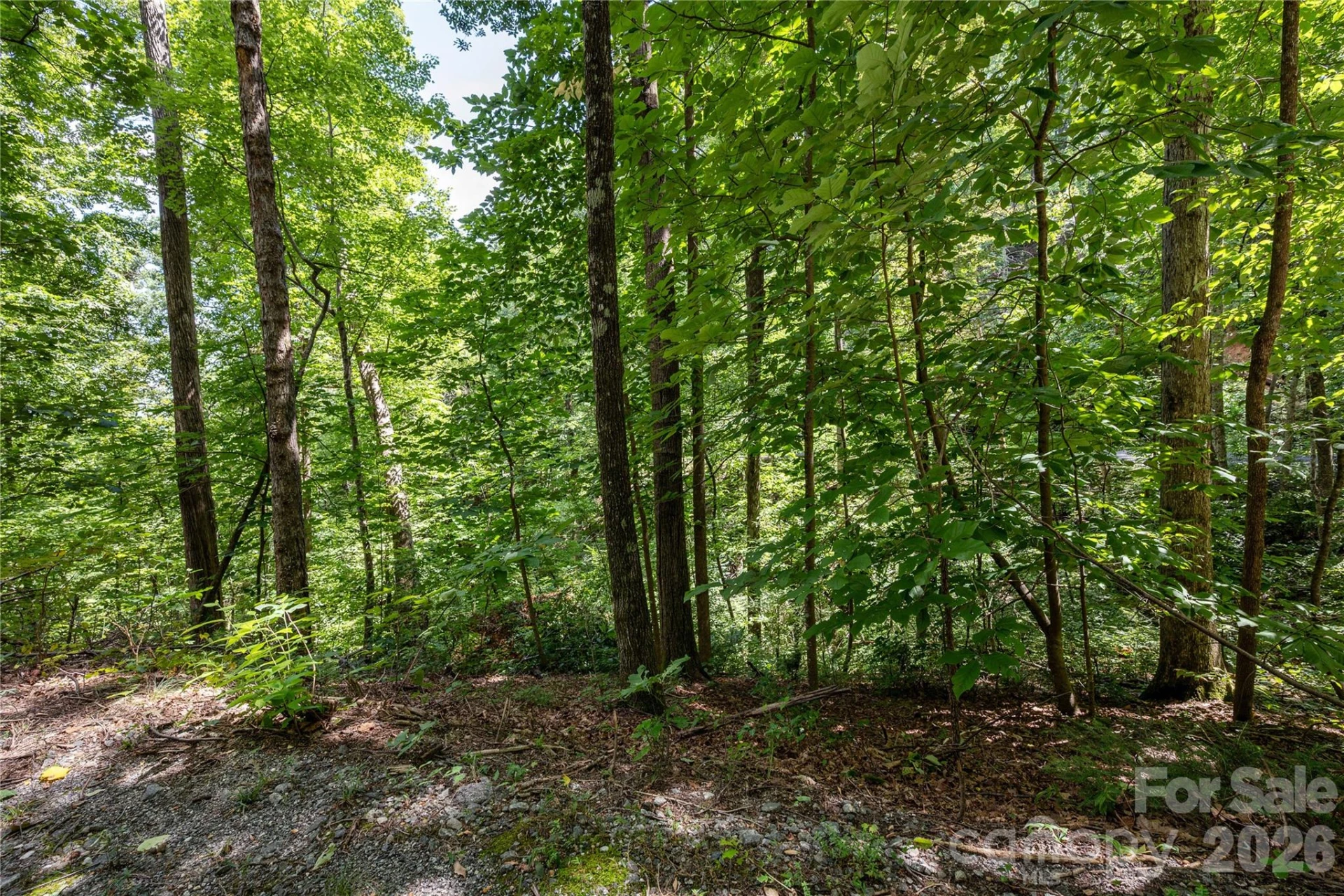 0 Weaver Lane - Photo 8