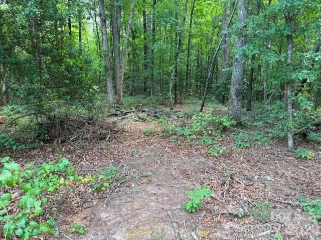 744 Old Hollis Road #12 - Photo 4