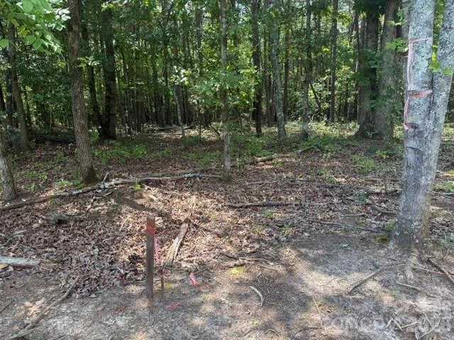 744 Old Hollis Road #12 - Photo 12