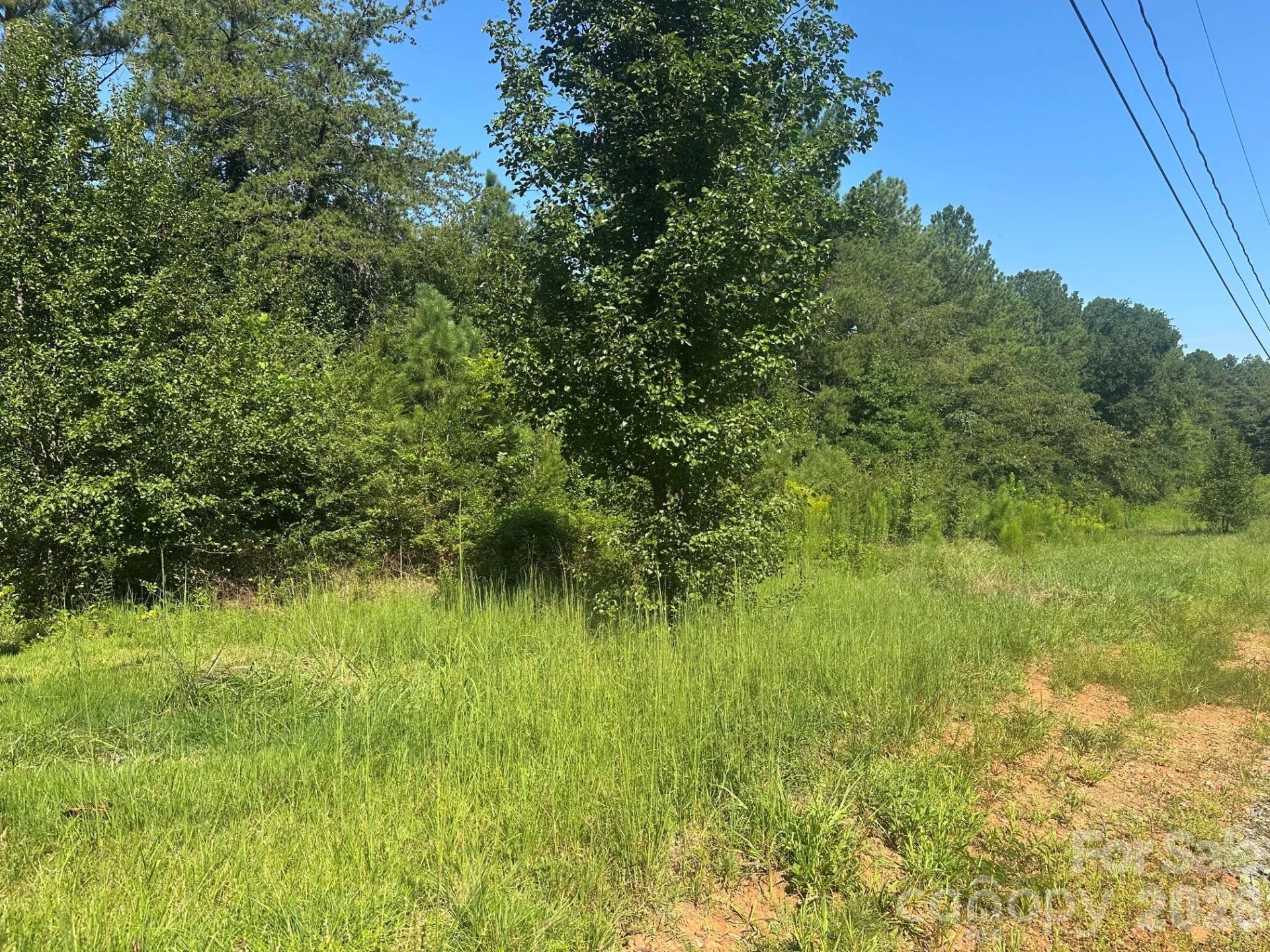 162 Lancaster Road - Photo 14