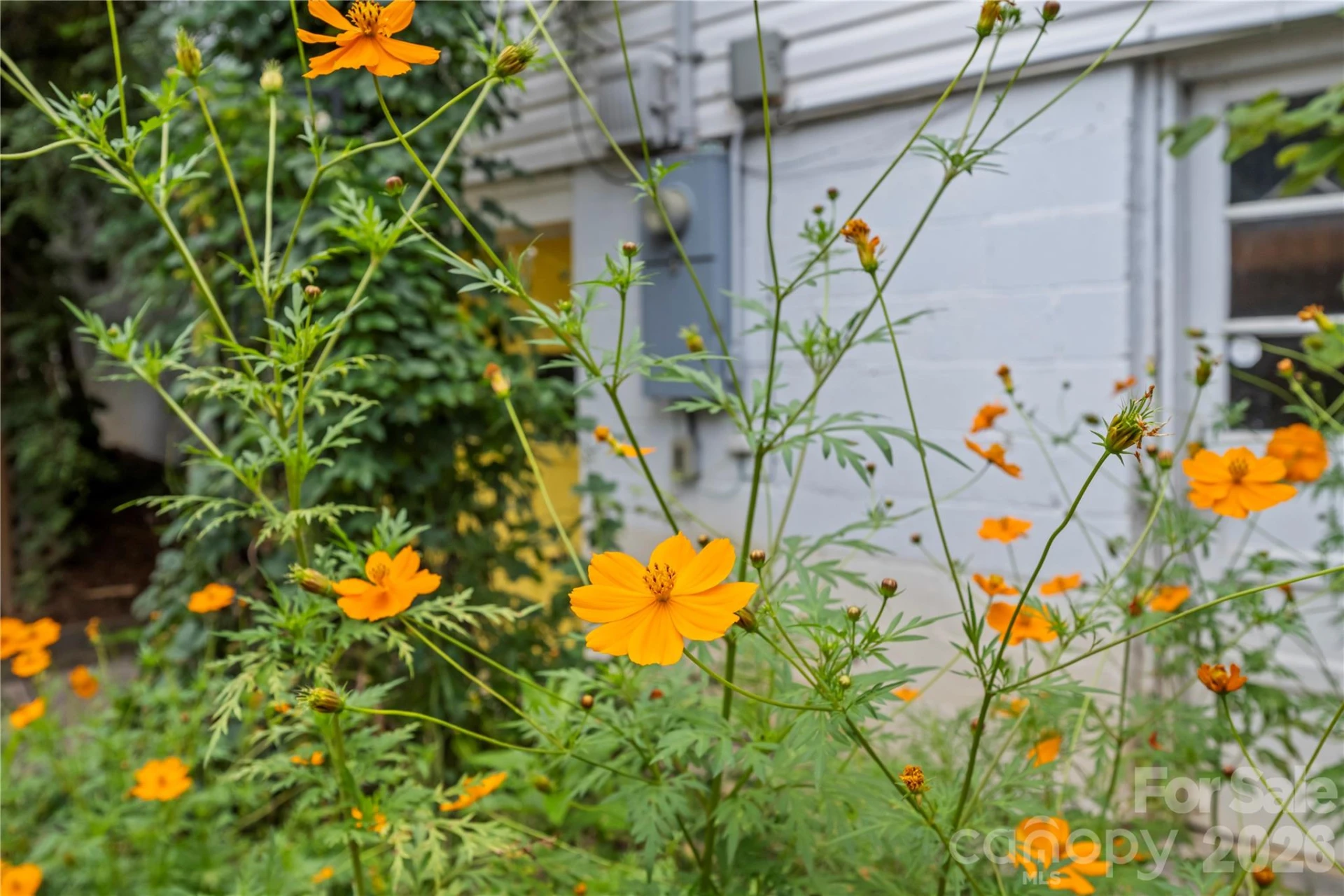 2 Bostic Place - Photo 30
