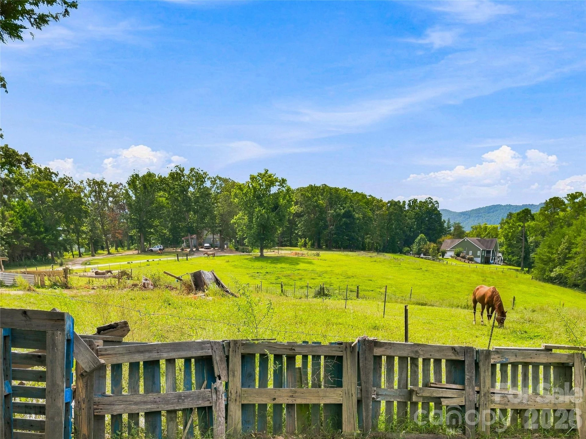 41 Forest Knoll Drive - Photo 31