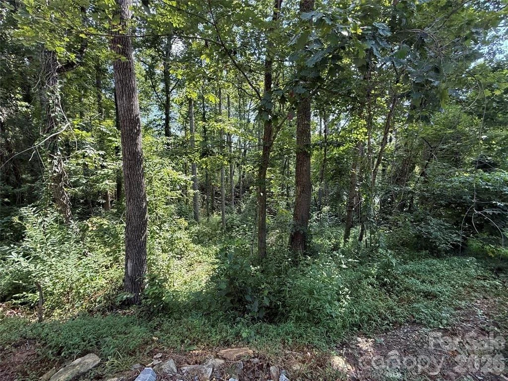 256 Burge Mountain Road - Photo 2