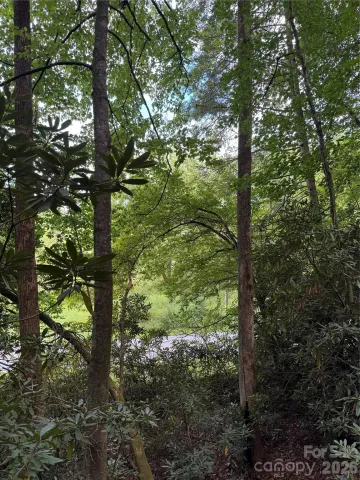 000 Wilson Road