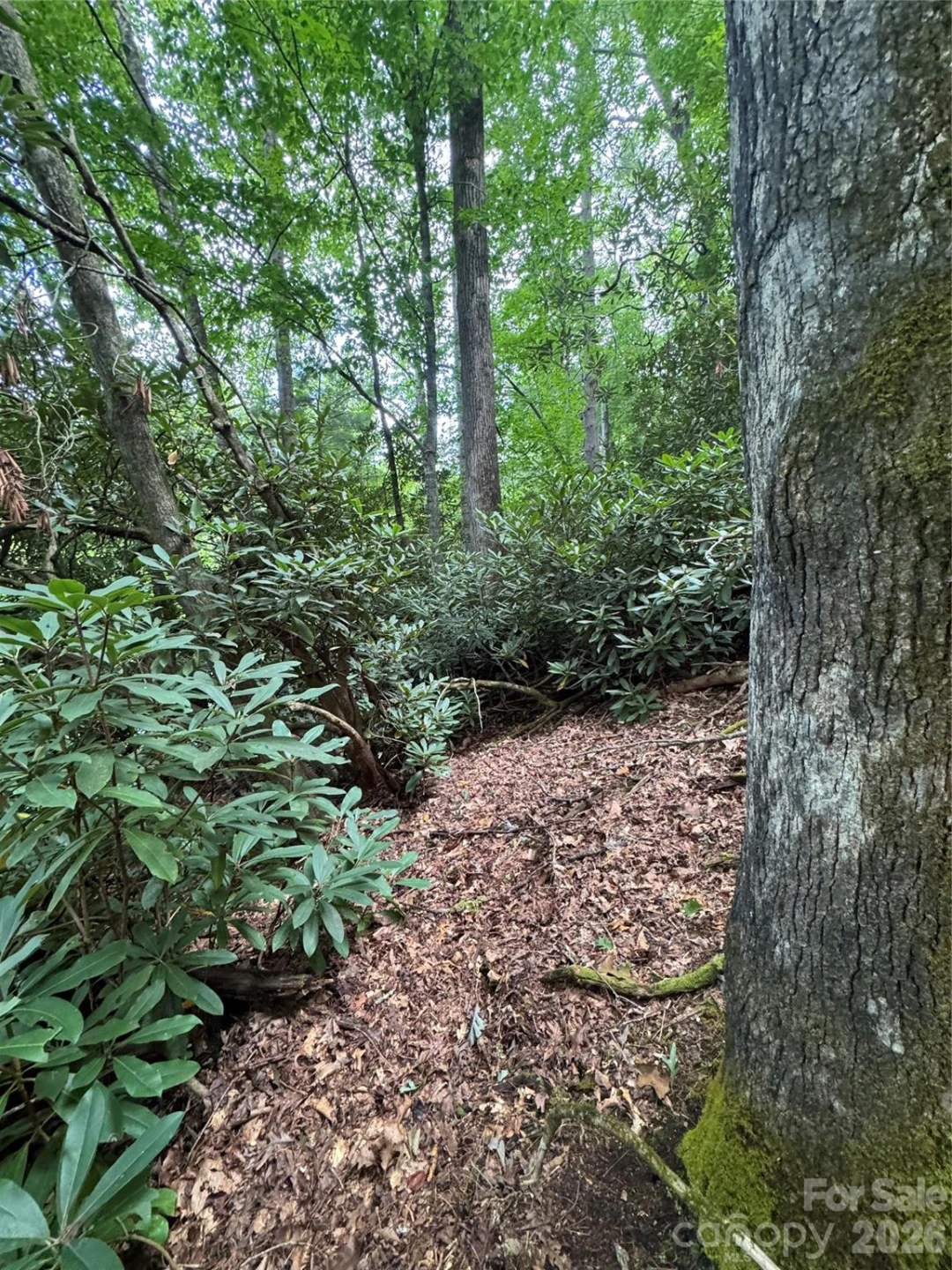000 Wilson Road - Photo 7