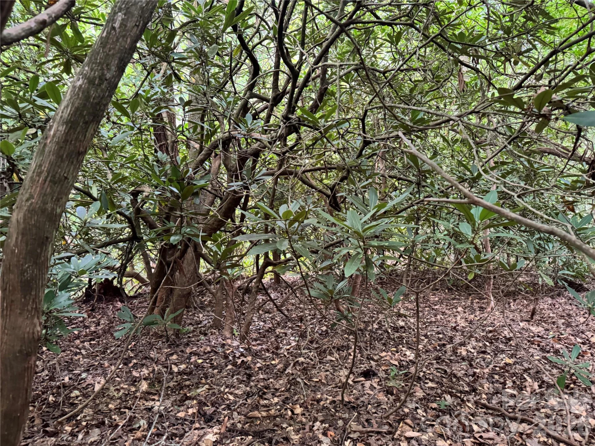 000 Wilson Road - Photo 16