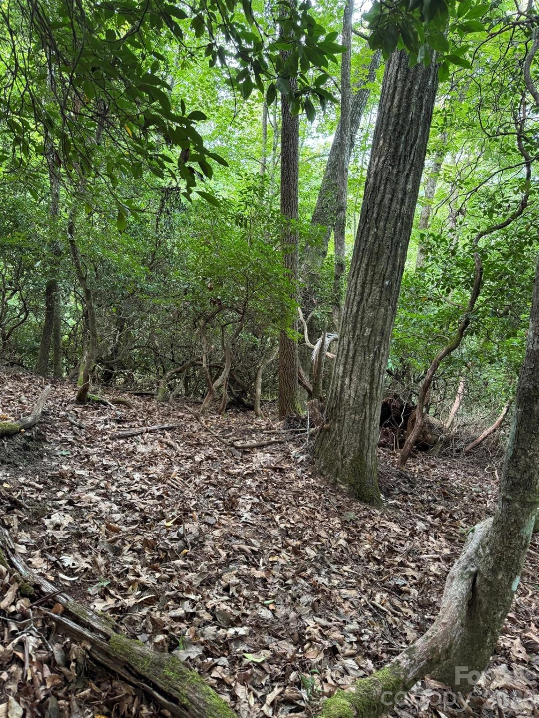 000 Wilson Road - Photo 18