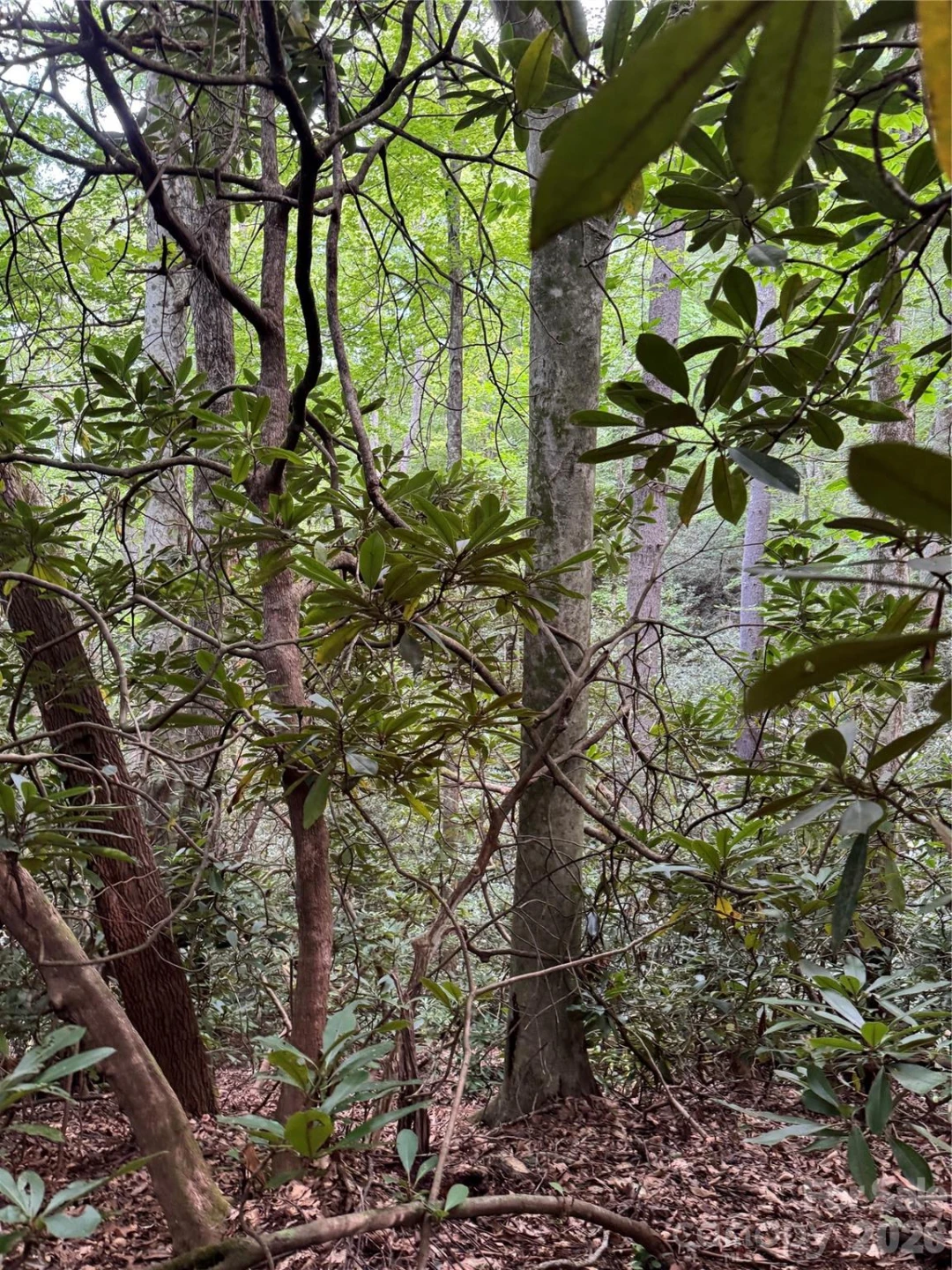 000 Wilson Road - Photo 23