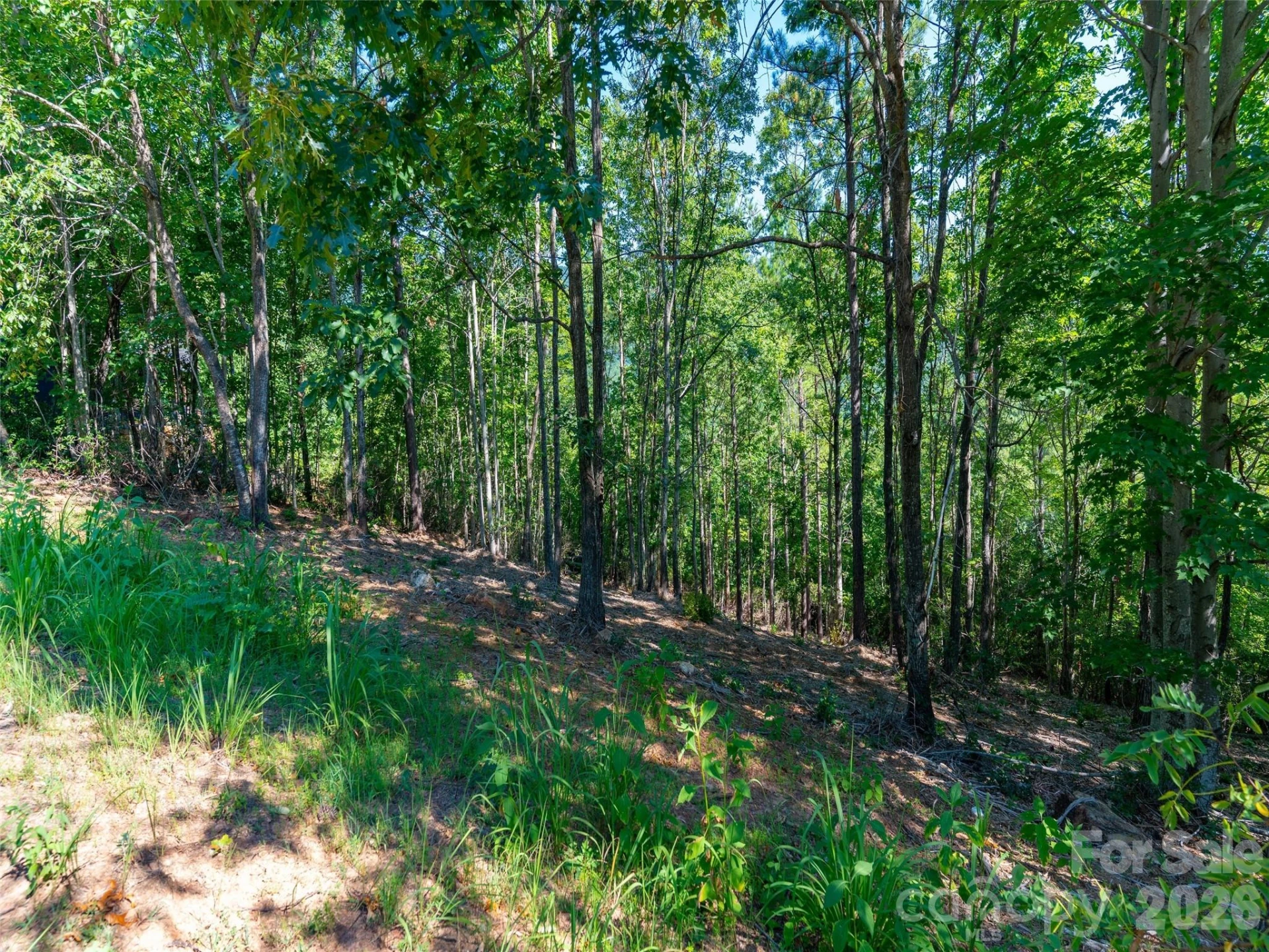2026 Deep Gap Farm Road E - Photo 23