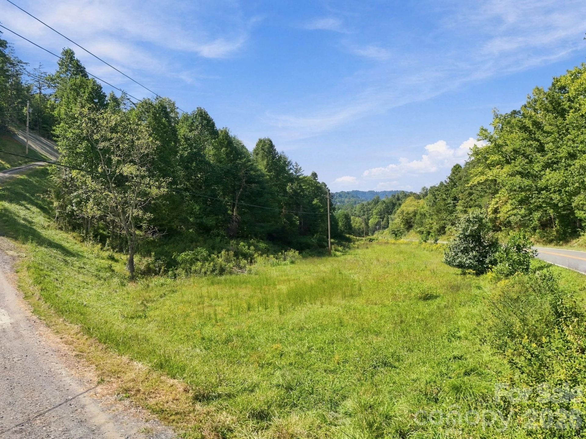 1001 Fisher Lane - Photo 39