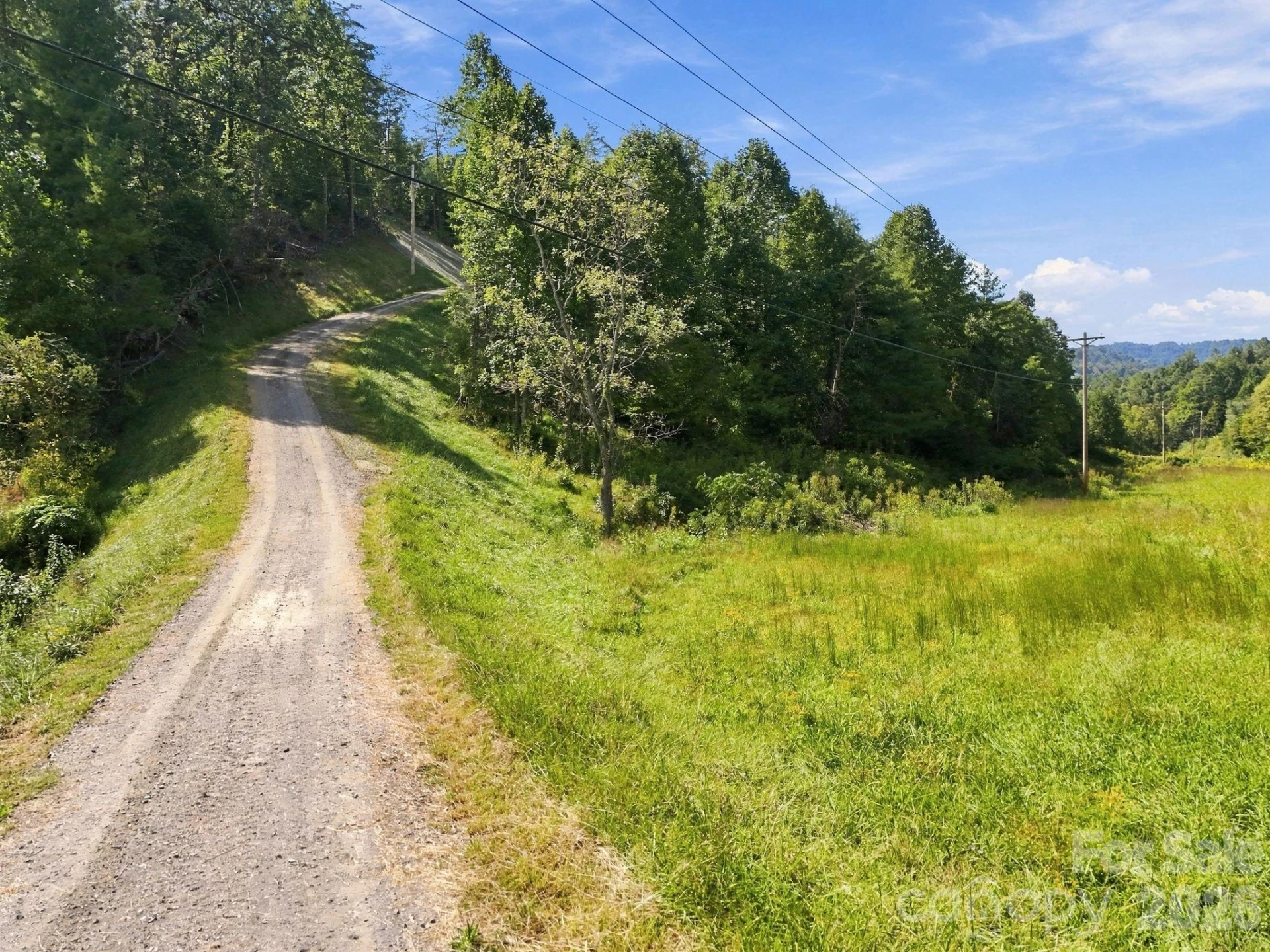 1001 Fisher Lane - Photo 41