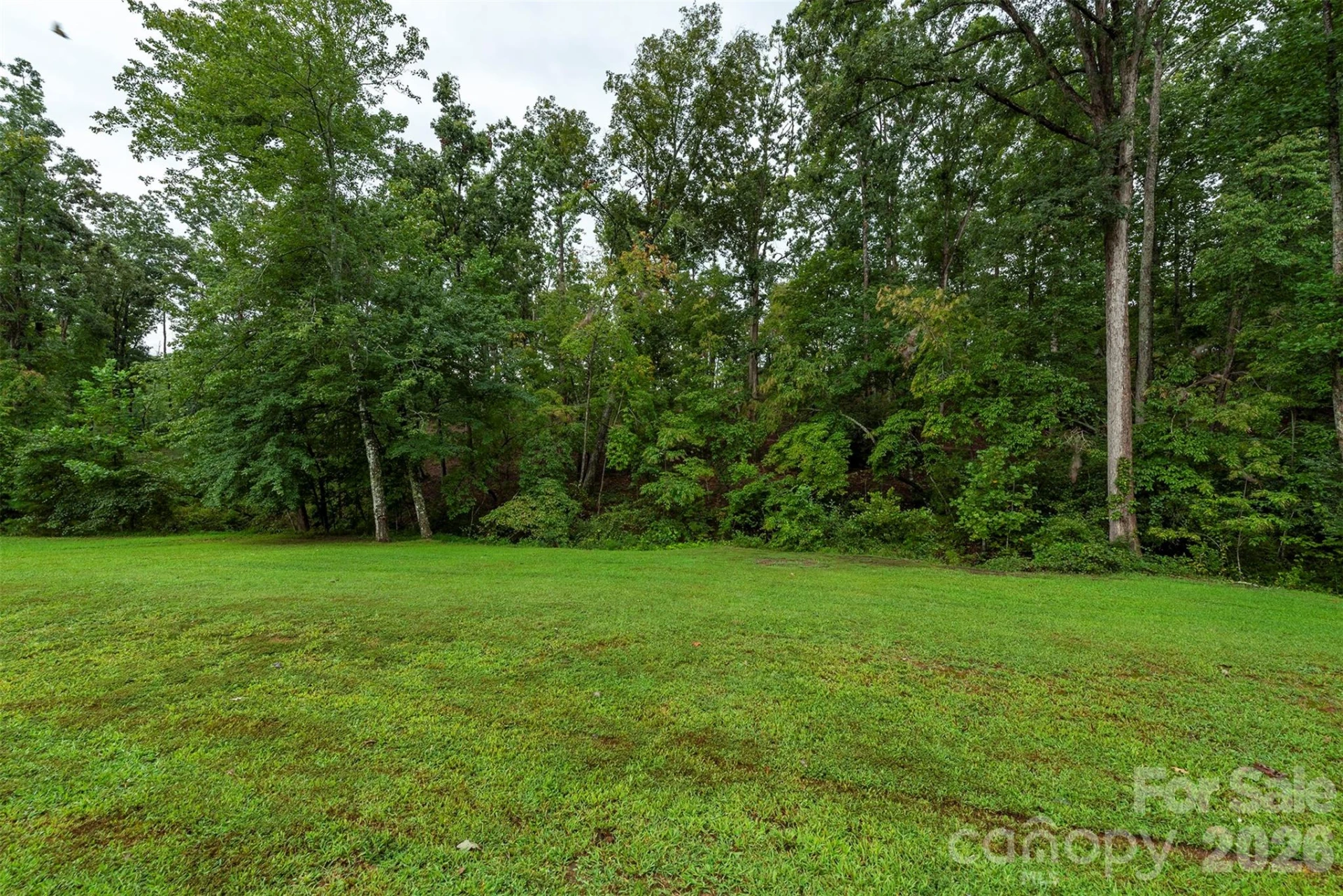 346 Tricycle Hill Lane - Photo 29
