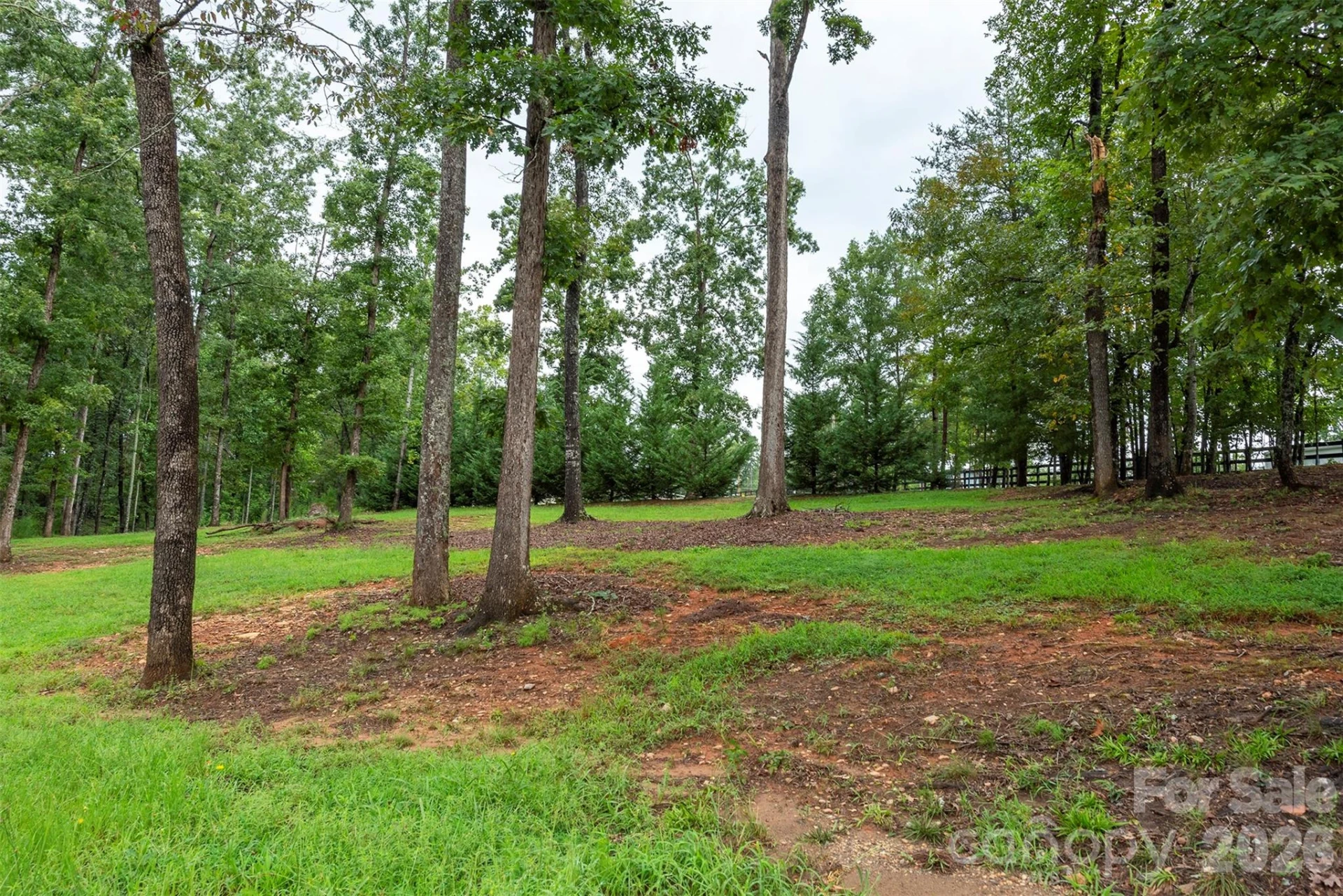 346 Tricycle Hill Lane - Photo 33