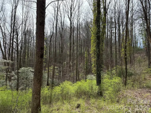 L8 Black Bear Court, Sapphire, NC, 28774