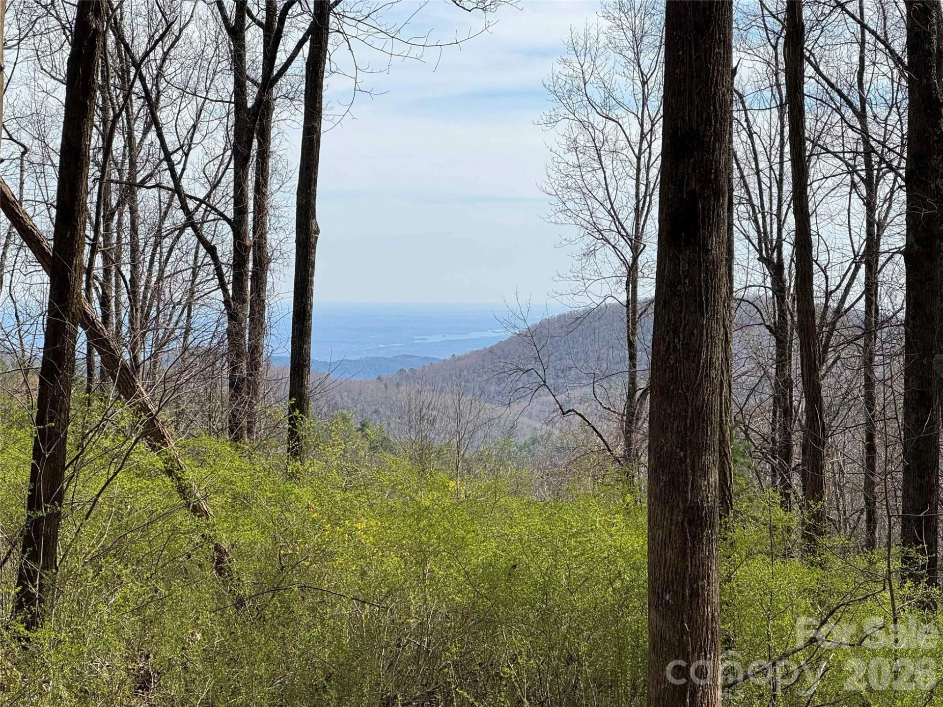 L8 Black Bear Court - Photo 5