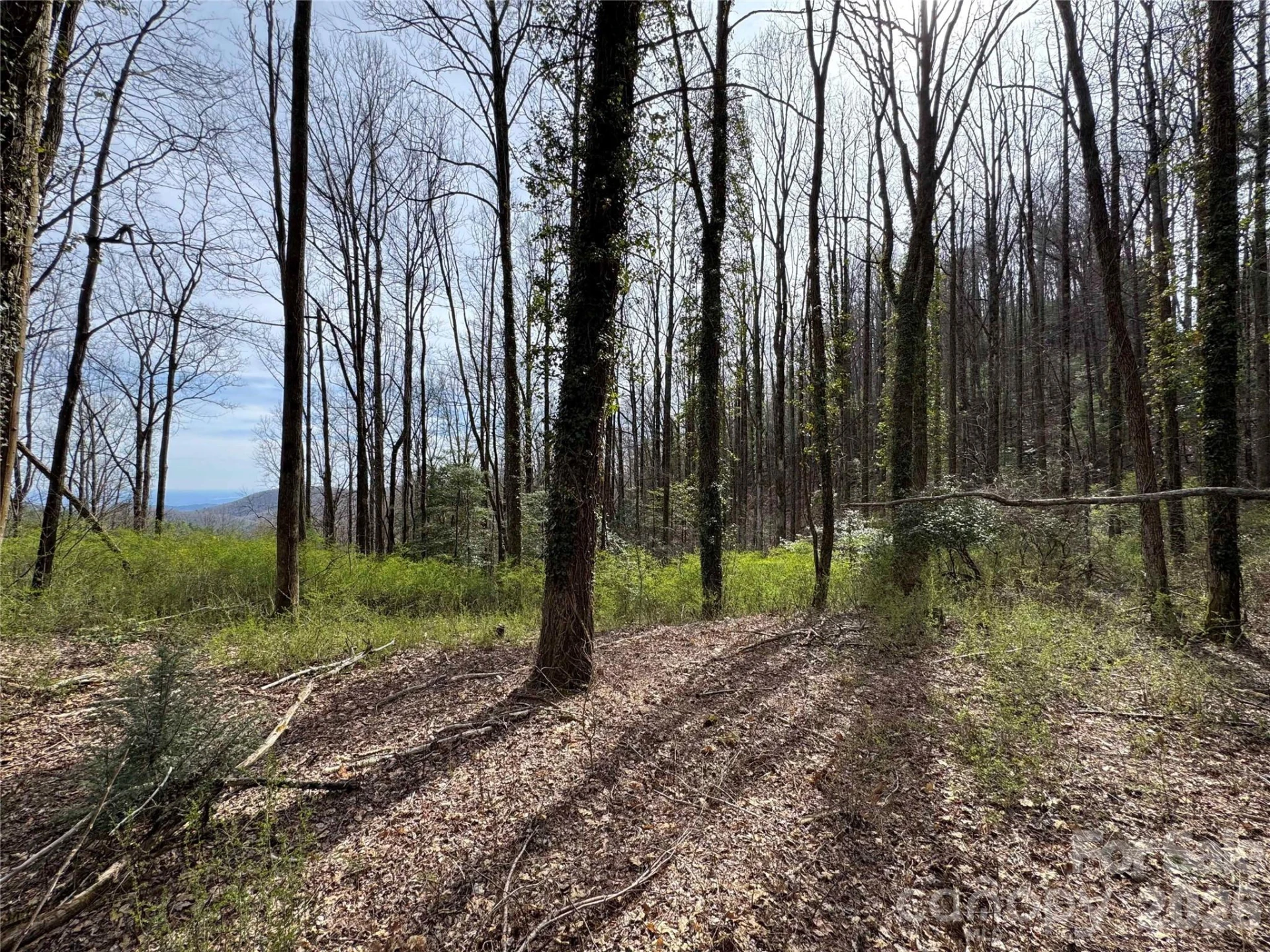 L8 Black Bear Court - Photo 8
