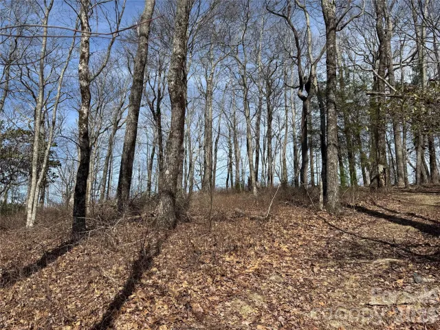 L4 Windy Gap Lane, Sapphire, NC, 28774