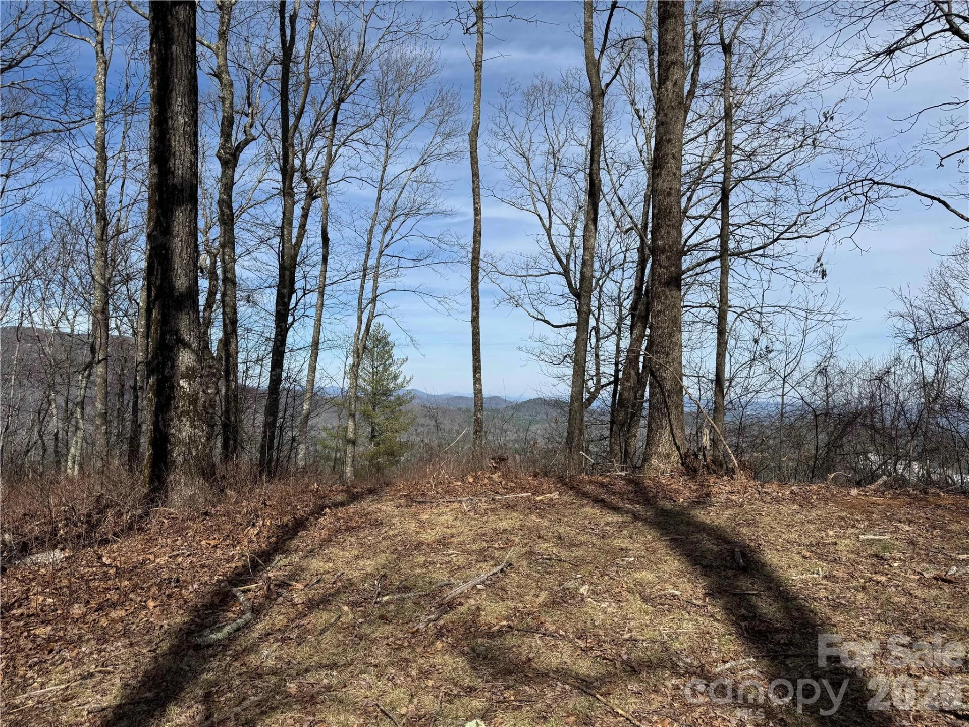 L4 Windy Gap Lane - Photo 4