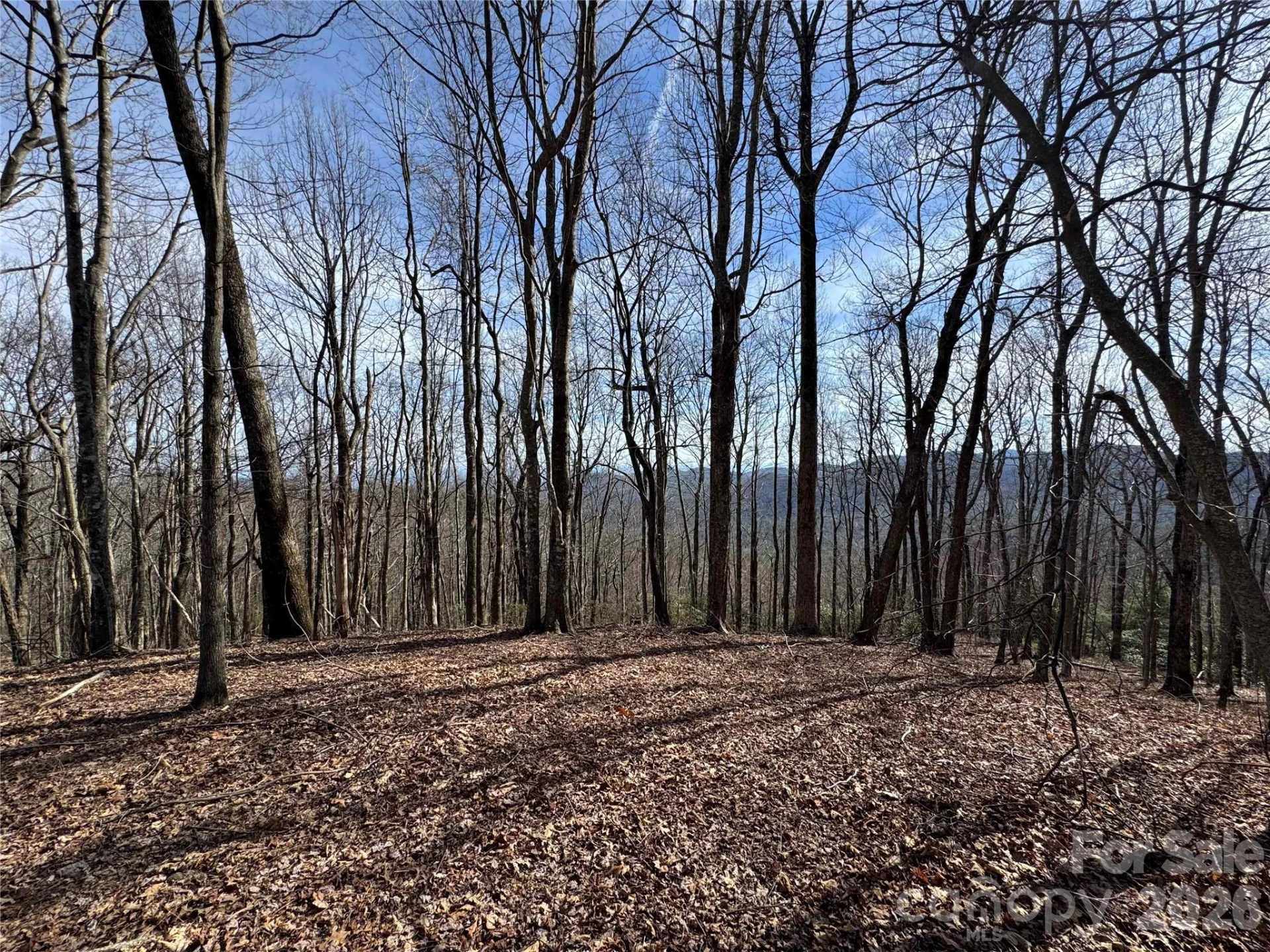 L4 Windy Gap Lane - Photo 9