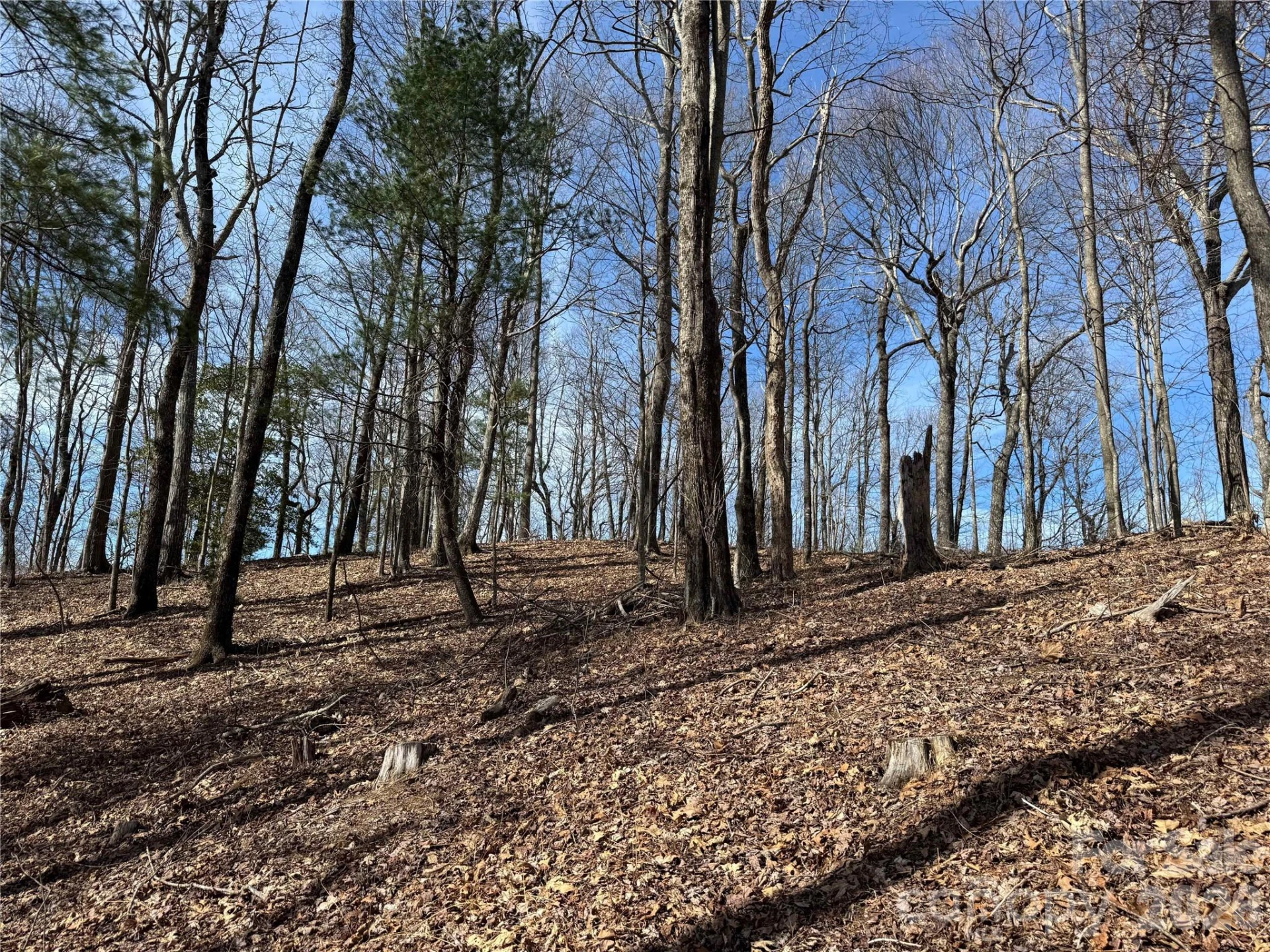 L4 Windy Gap Lane - Photo 11