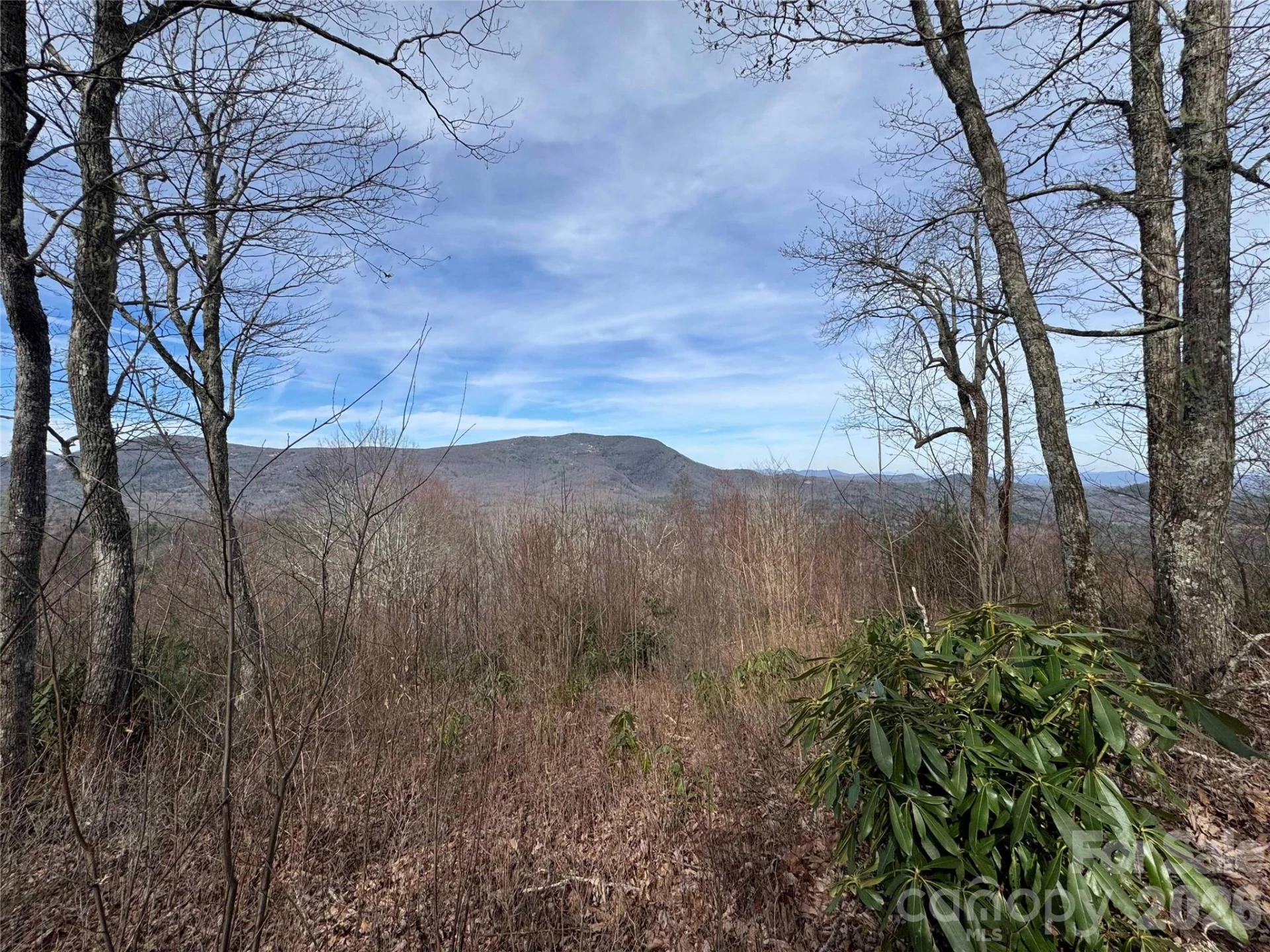 L3 Windy Gap Lane - Photo 4