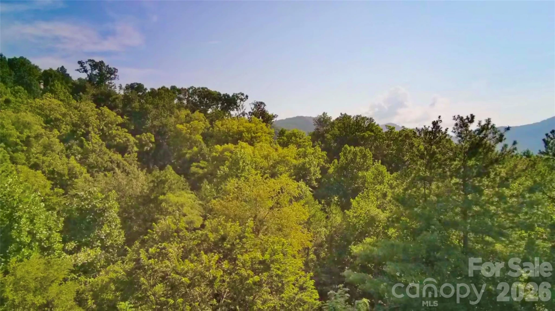 99999 Elk Mountain Ridge #12 - Photo 5