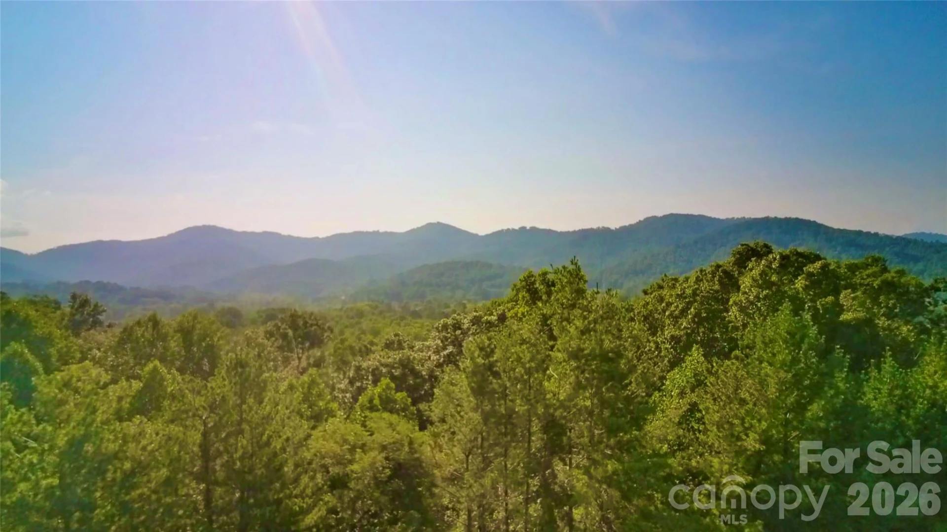 99999 Elk Mountain Ridge #12 - Photo 7