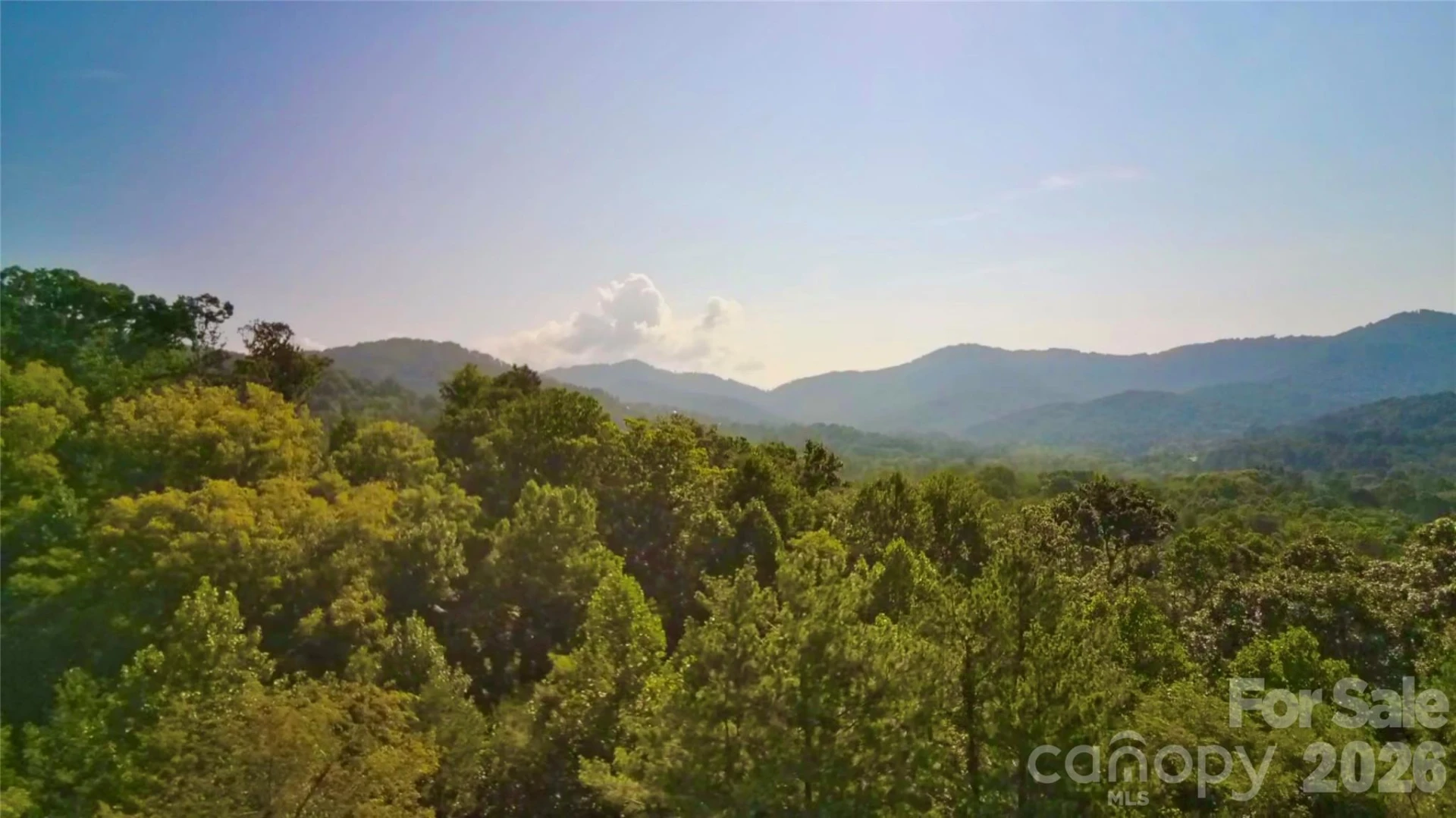 99999 Elk Mountain Ridge #12 - Photo 8