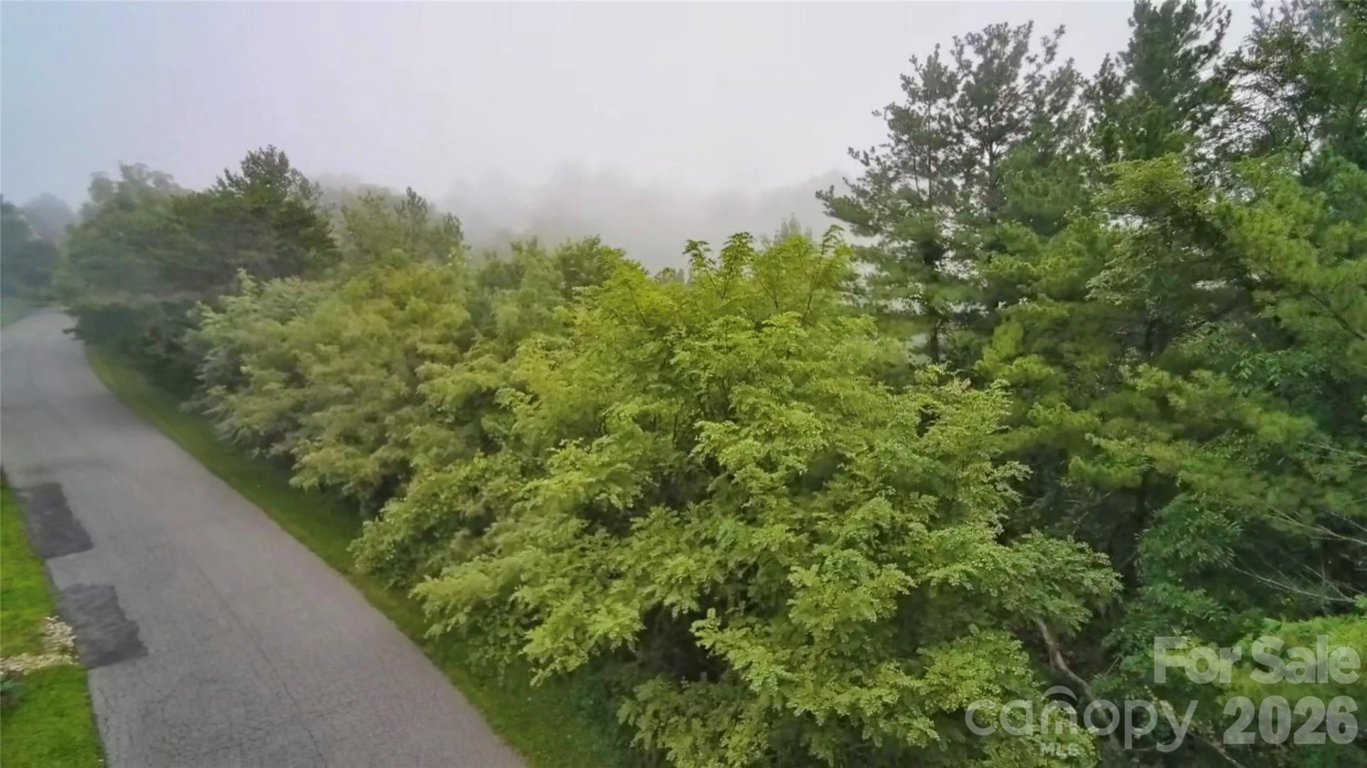 99999 Elk Mountain Ridge #12 - Photo 16