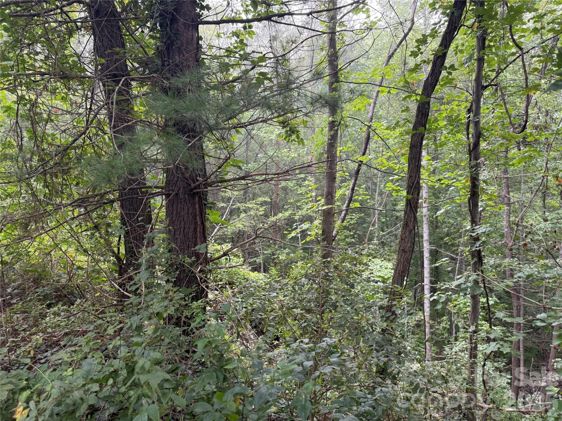 99999 Elk Mountain Ridge #12 - Photo 17