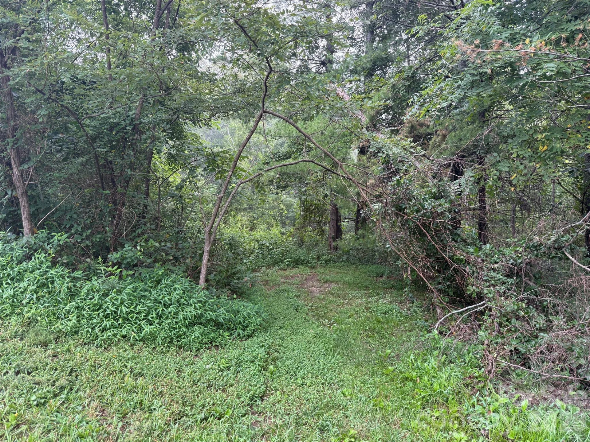 99999 Elk Mountain Ridge #13 - Photo 3