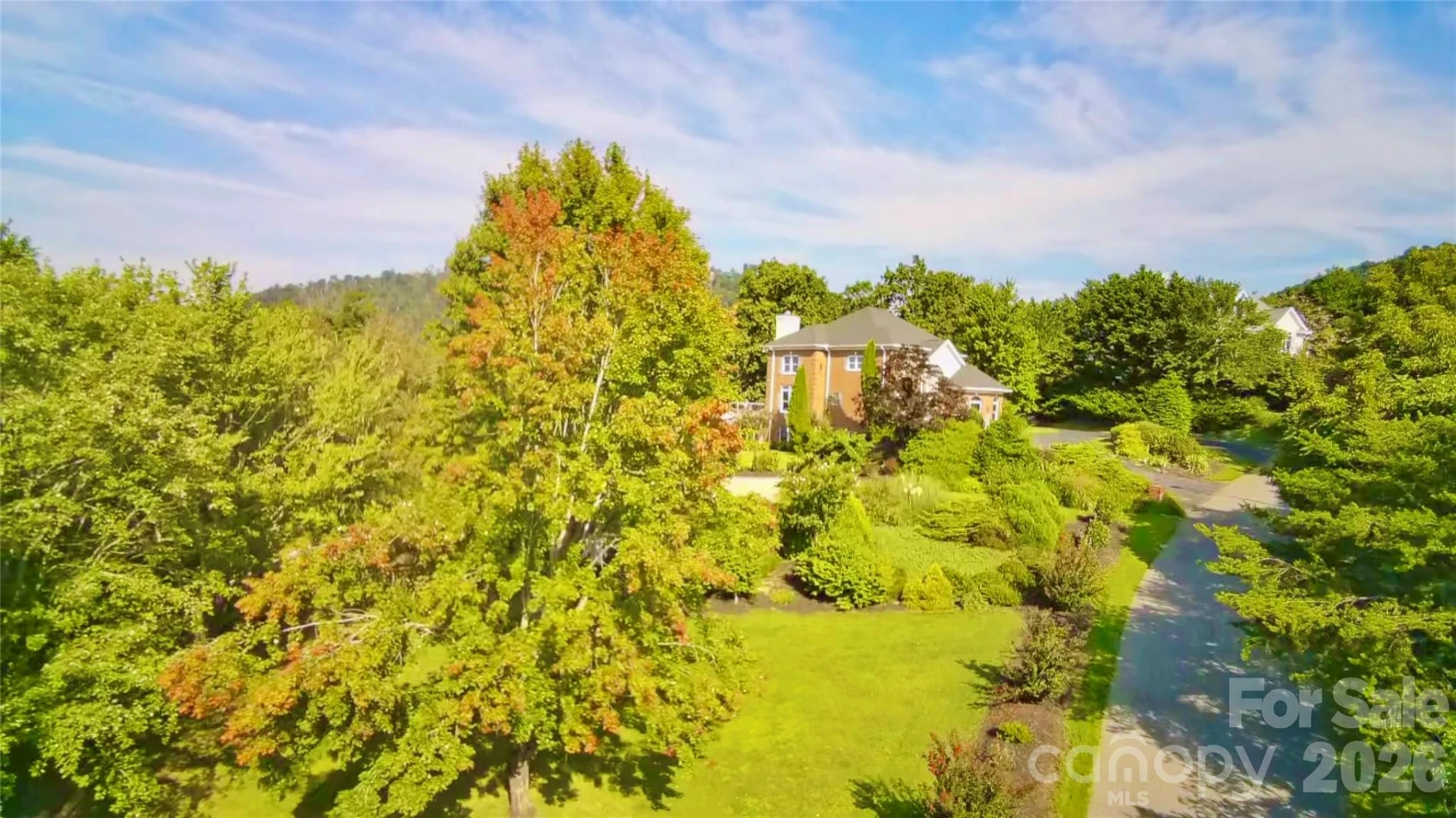 99999 Elk Mountain Ridge #13 - Photo 13