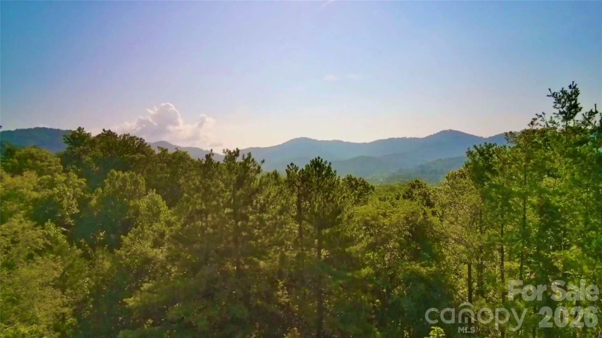 99999 Elk Mountain Ridge #14 - Photo 7