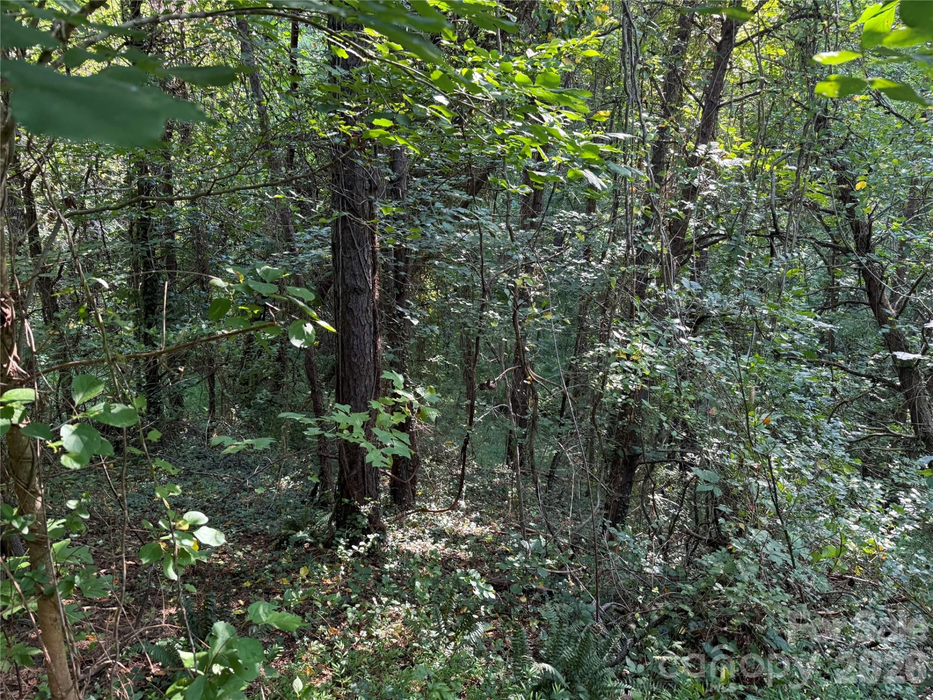 99999 Elk Mountain Ridge #14 - Photo 13