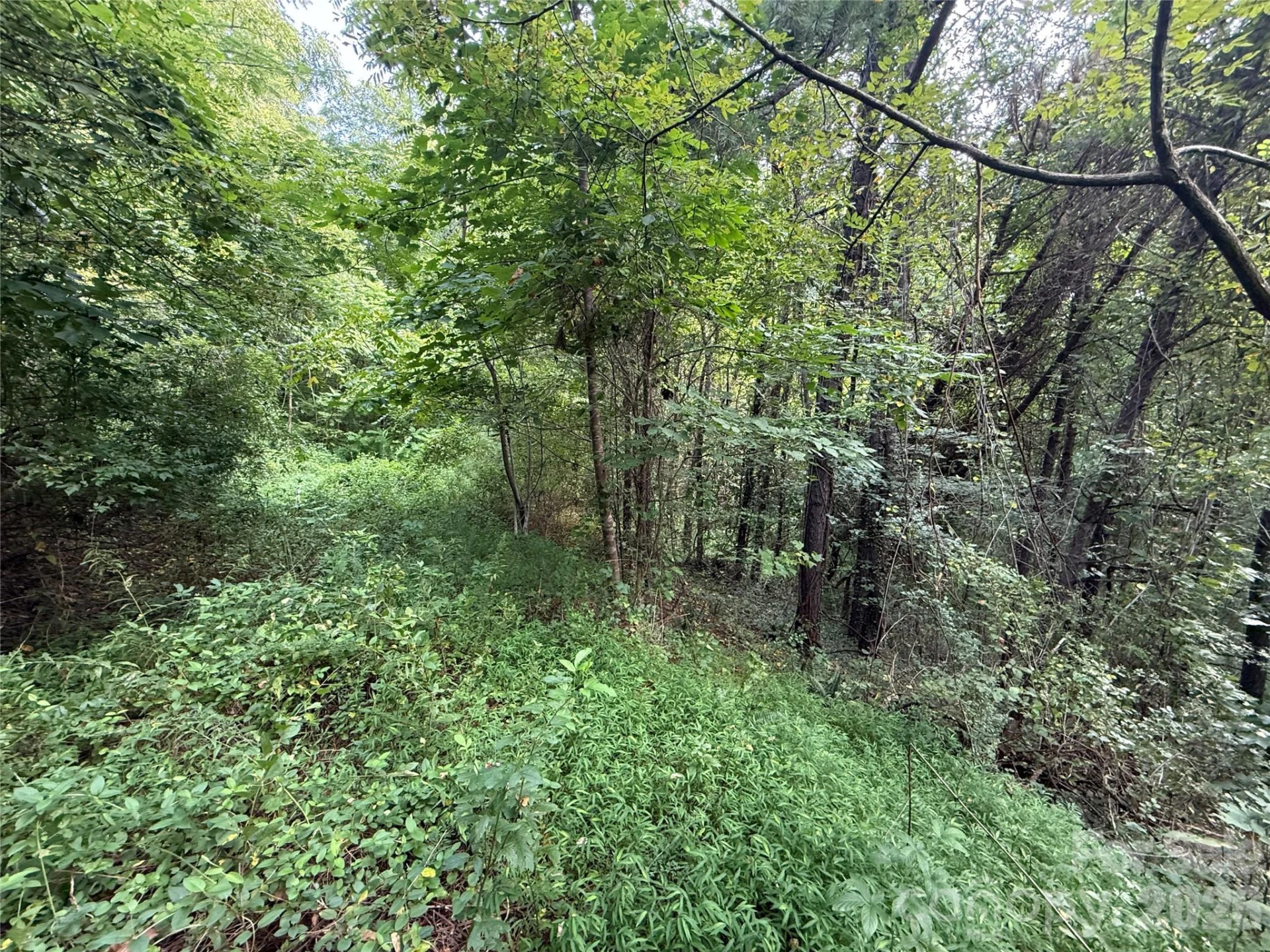 99999 Elk Mountain Ridge #14 - Photo 14