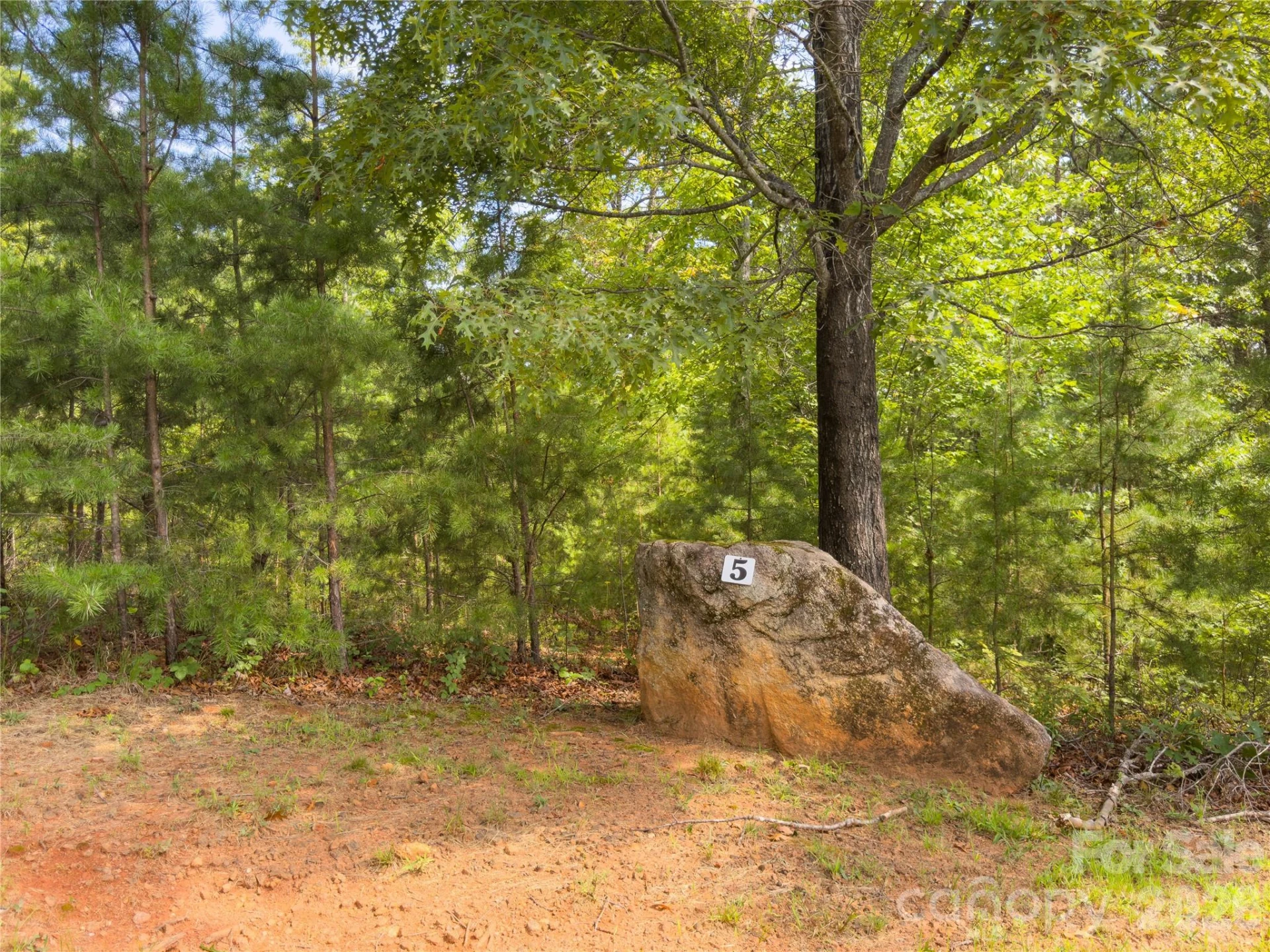 0 Boulder Ridge #5 - Photo 6