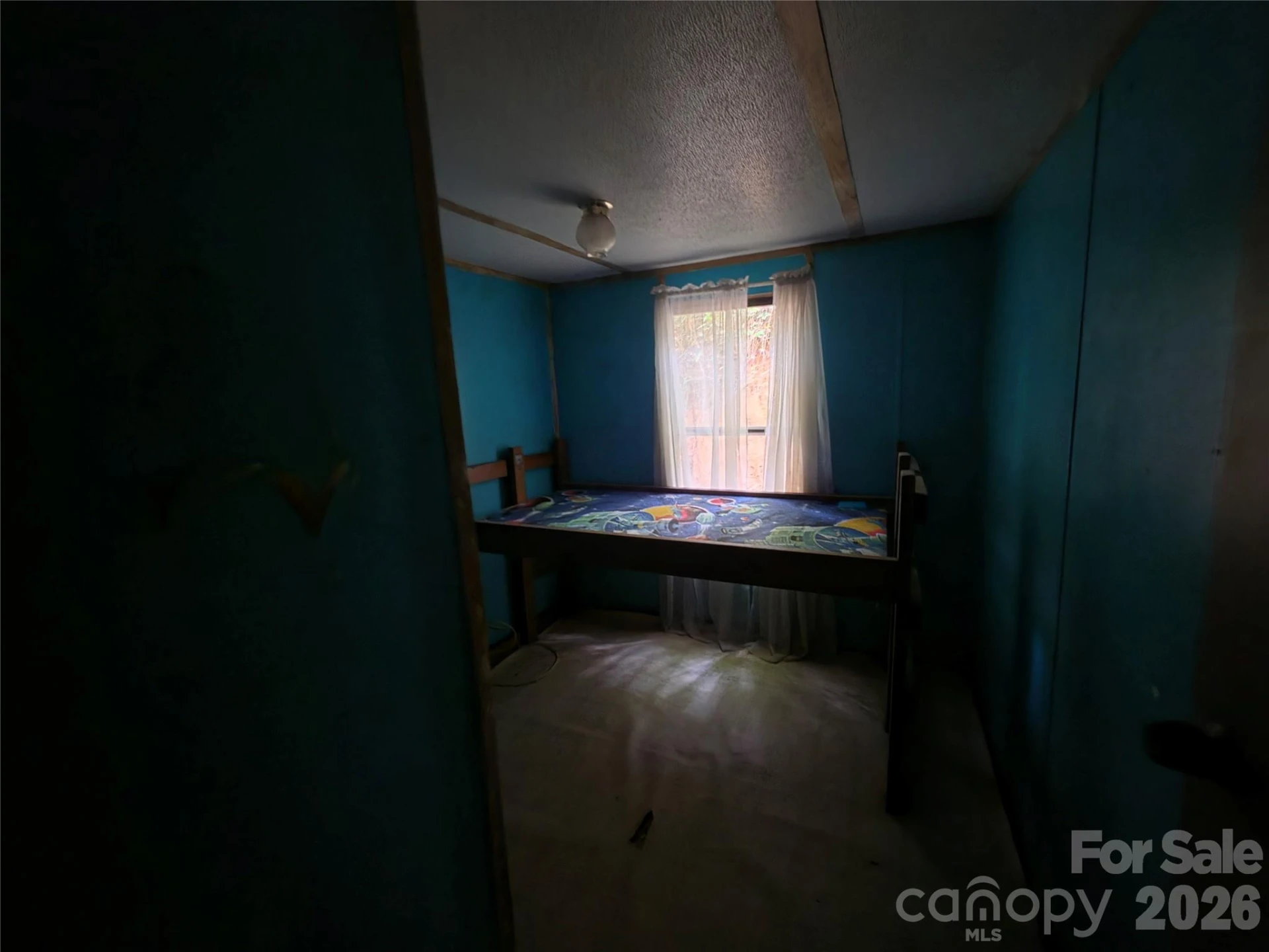40 Gunches Dirt Road - Photo 12