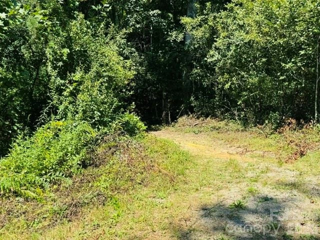 475 Old Little Mountain Road