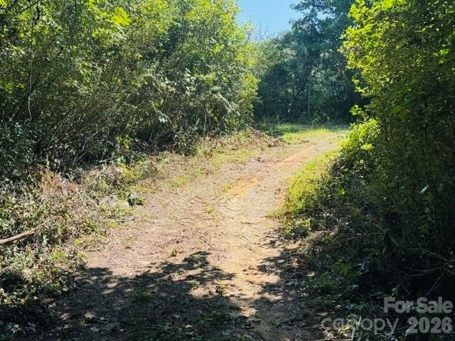 475 Old Little Mountain Road - Photo 2