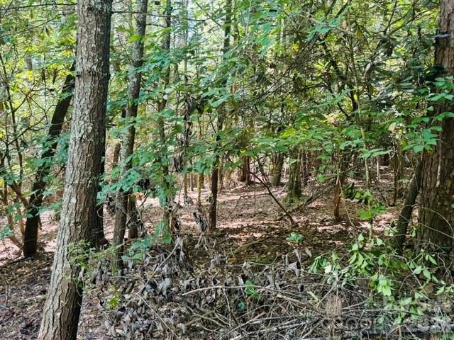 475 Old Little Mountain Road - Photo 3