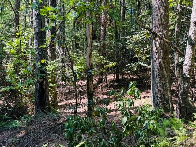 475 Old Little Mountain Road - Photo 5