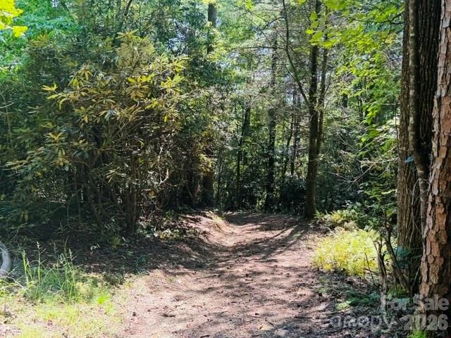 475 Old Little Mountain Road - Photo 6