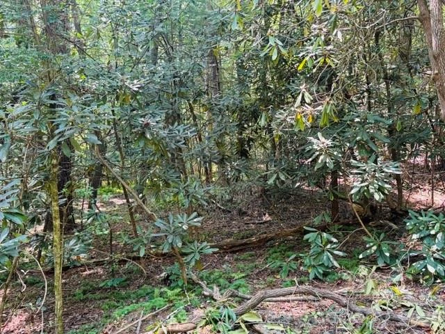 475 Old Little Mountain Road - Photo 7