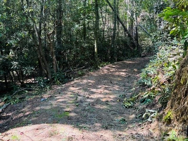 475 Old Little Mountain Road - Photo 8