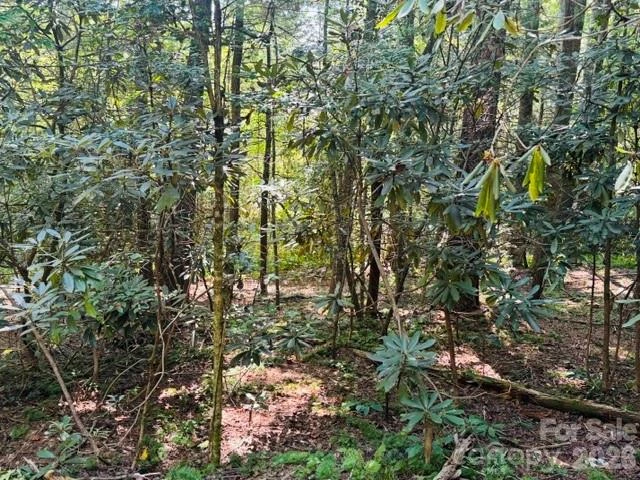 475 Old Little Mountain Road - Photo 9