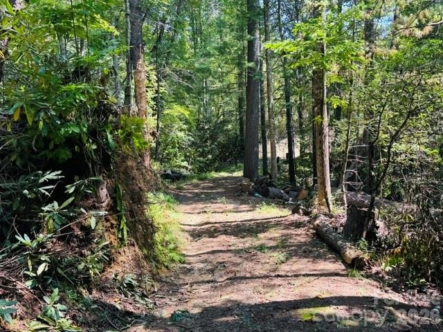 475 Old Little Mountain Road - Photo 10