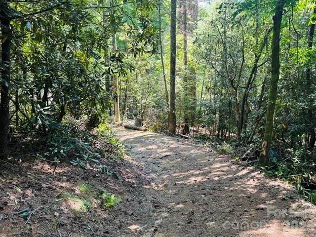 475 Old Little Mountain Road - Photo 11